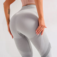 Ombre Seamless Leggings