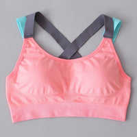 High Impact Sports Bra