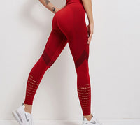 Ombre Seamless Leggings