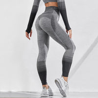 Seamless Fitness Leggings