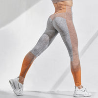 Seamless Fitness Leggings