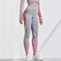 Seamless Fitness Leggings