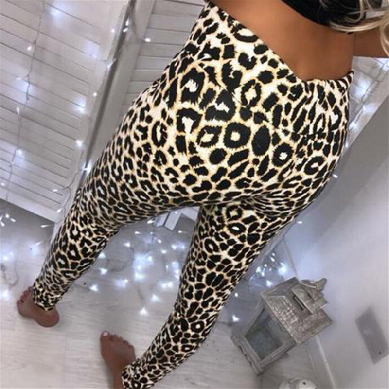 Snake Printed Leggings